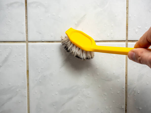 Best Local Mold Removal Service  in Astia, OR