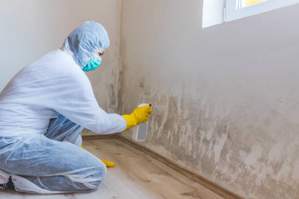 Crawl Space Mold Removal in Astoria, OR