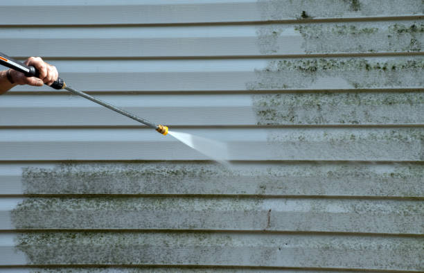 Attic Mold Removal in Astoria, OR
