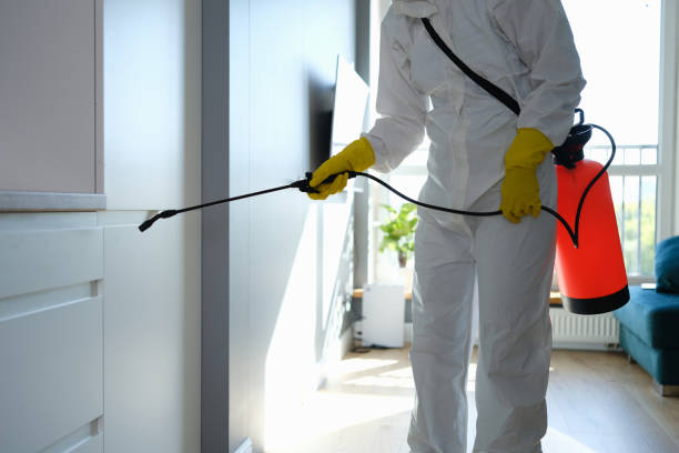 Best Residential Mold Removal  in Astia, OR