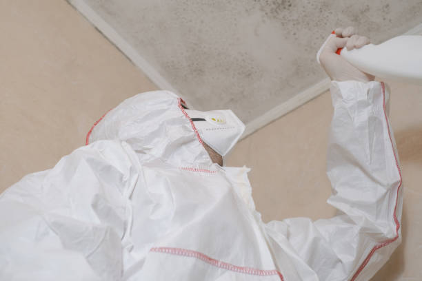 Best Mold Damage Repair  in Astia, OR