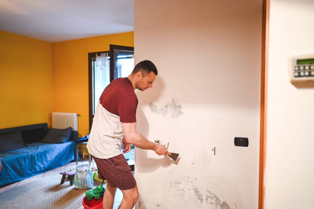 Best Best Mold Removal Companies  in Astia, OR
