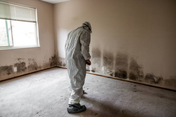 Astoria, OR Mold Removal Company